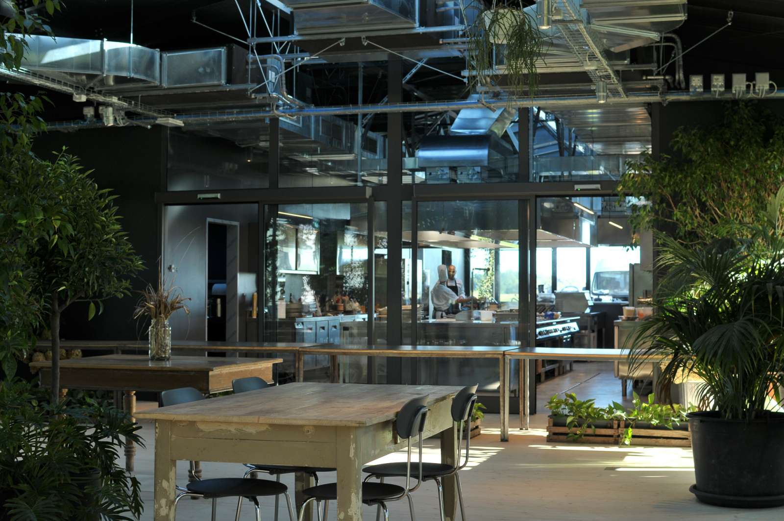 H-FARM indoor greenhouse