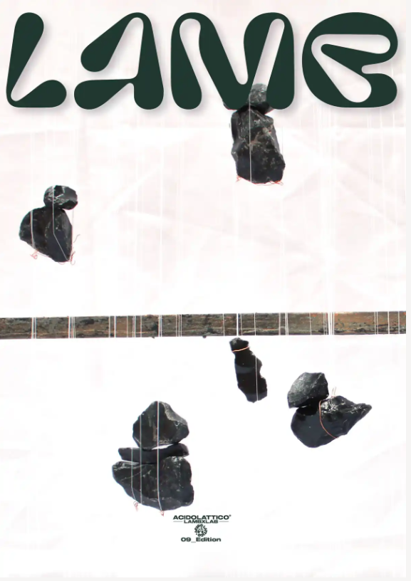 Acidolattico Lambielab edition nine cover
